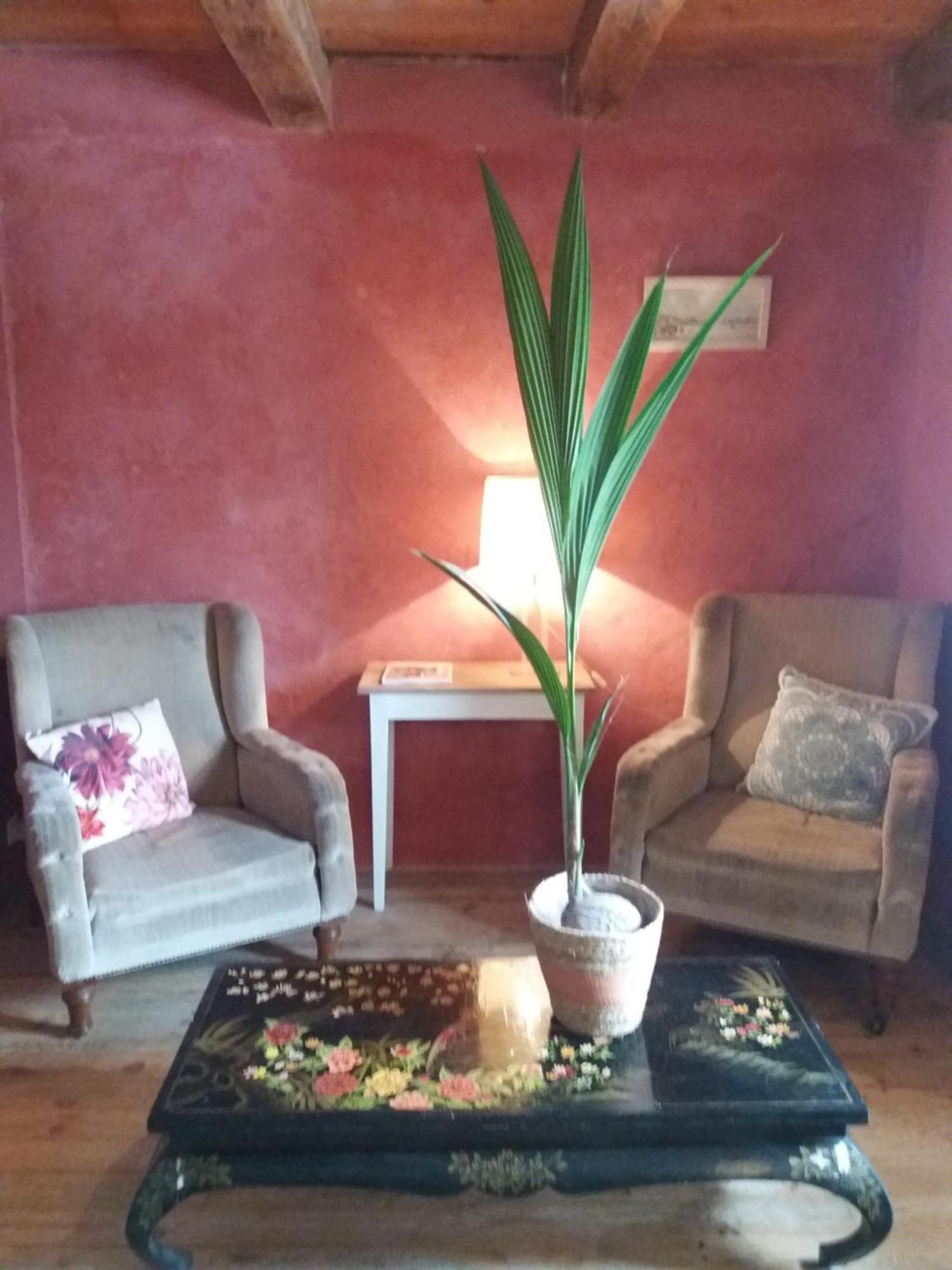 Domaine D'Angel-Berg Otel Vezins-de-Levezou Oda fotoğraf